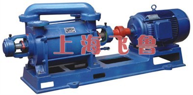 2SK型水環式真空泵