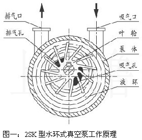2SK型水環式真空泵工作原理圖